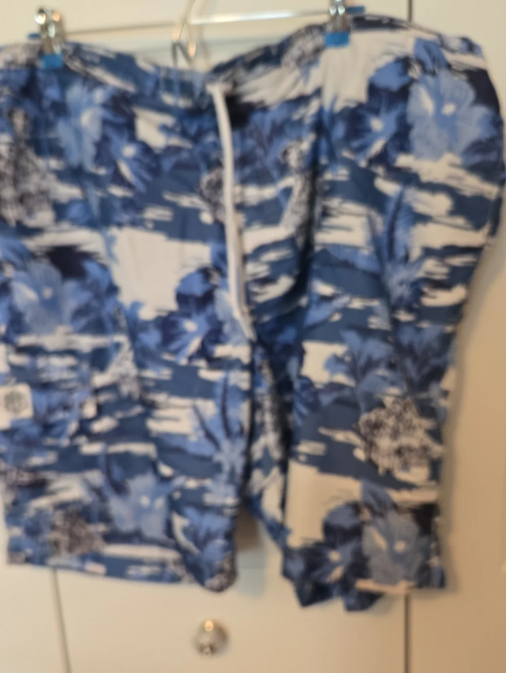 2 Pair Big And Tall Swim Shorts